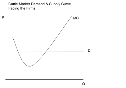 Diagram of a flat demand curve facing a cattle firm, crossing a U-shaped marginal cost curve.